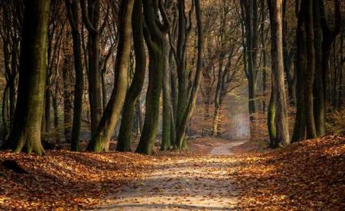 Uşak'ta hava durumu nasıl olacak? (15 Kasım 2024)