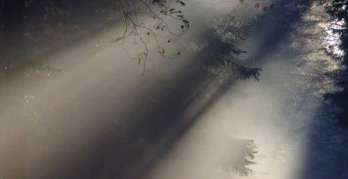 Uşak'ta hava durumu nasıl olacak? (16 Ocak 2025)