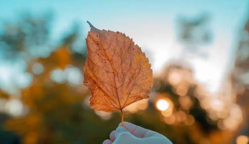 Uşak'ta hava durumu nasıl olacak? (2 Kasım 2024)