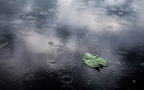 Uşak'ta hava durumu nasıl olacak? (23 Kasım 2024)