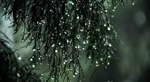 Uşak’ta hava durumu nasıl olacak? (24 Aralık 2024)