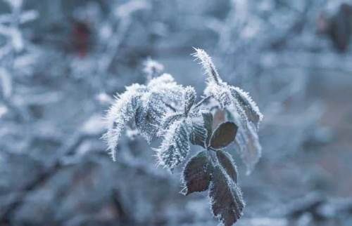 Uşak Valiliği'nden kritik hava durumu uyarısı!