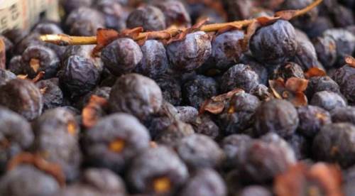 Üvez Meyvesi Nedir? Faydaları ve Sağlık Üzerindeki Etkileri