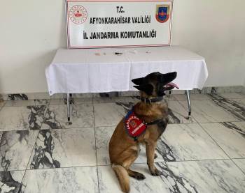 Uyuşturucu İle Yakalanan 2 Kişi Tutuklandı
