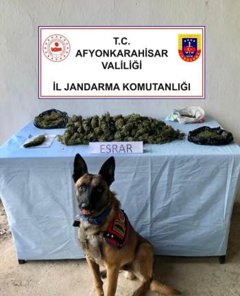 Uyuşturucu Operasyonunda 3 Gözaltı
