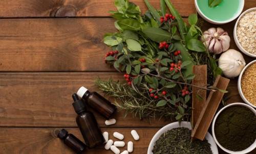 Uzmanlardan önemli uyarı: Bitkilerle hayat, bitkisel hayat olabilir!