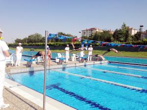 Yüzmede olimpik seçmeler yapıldı