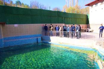 Vali Ali Çelik, Dereli Termal Turizm Merkezi’Ni İnceledi
