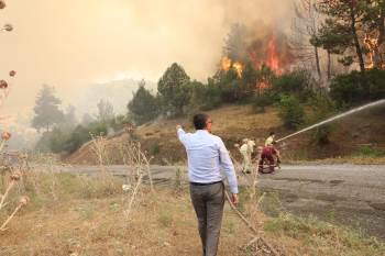 Vali Çelik, “Orman Yangını Yerleşim Yerleri İçin Risk Oluşturmuyor”
