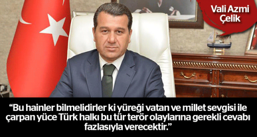 Vali Çelik: Bu hainler bilmelidirler ki!