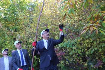 Vali Çelik Simav’Da Kestane Hasadı Yaptı
