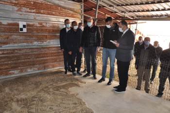 Vali Çelik’Ten  ‘Mozaikli Ev-Arkeopark’ Projesine Destek
