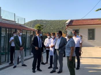 Vali Şentürk Ve Başkan Şahin’Den Can Dostlarına Ziyaret
