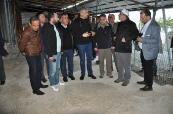 Vali Toraman Mozaikli Evde İncelemelerde Bulundu
