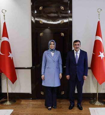 Vali Yiğitbaşı, Cumhurbaşkanı Yardımcısı İle Görüştü
