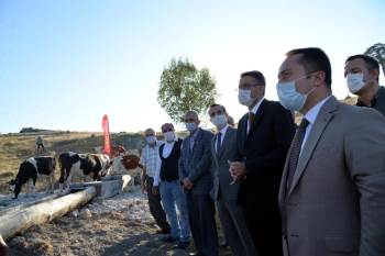 Valiler, "Dombayçayır Köyü Mera Islah Ve Amenajmanı" Projesini Yerinde İncelemeleri
