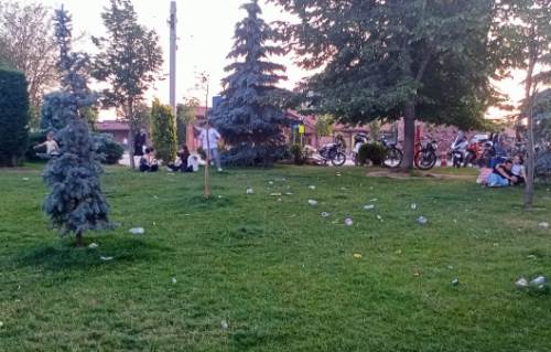 Vandallar bu kez de yeşil alanları hedef aldı