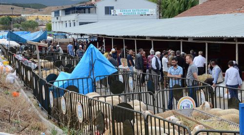 Vatandaş Bozüyük hayvan pazarına akın etti