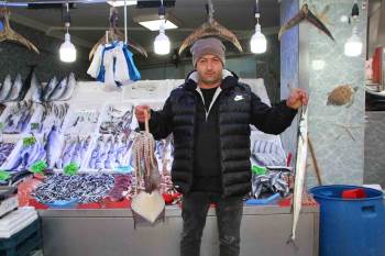 Vatandaşlar Balığa Yöneldi
