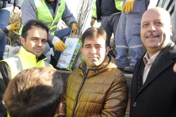 Vatandaşlar Fidan Alabilmek İçin Yarıştı
