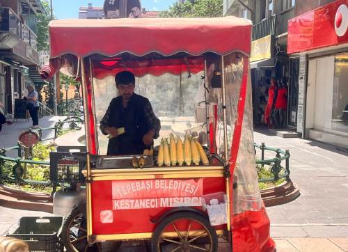 Vazgeçilmez yaz lezzeti Eskişehir sokaklarında yerini aldı