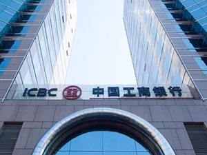 Ve Dünya Lideri BDDK'ya başvurdu