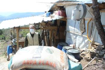 Vefa Grubunu Arayıp Köpek Ve Keçileri İçin Yem İstedi
