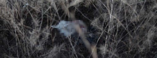 Vicdansız sürücü ölüme terk etti!