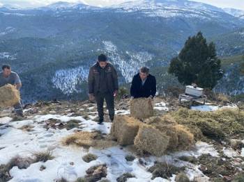 Yaban Hayatına Yem Desteği
