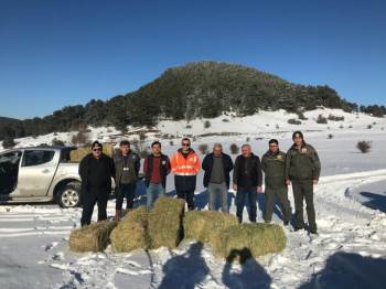 Yaban Hayvanları İçin Doğaya Yem Bırakıldı
