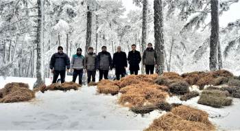 Yaban Hayvanları İçin Doğaya Yem Bırakıldı
