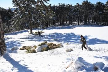 Yaban Hayvanları İçin Doğaya Yem Bırakıldı
