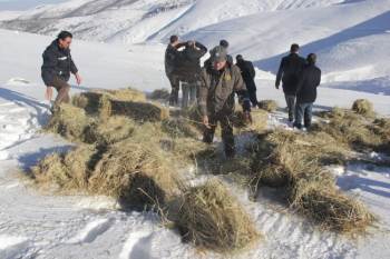 Yaban Hayvanları İçin Emirdağları’Na Yem Bırakıldı
