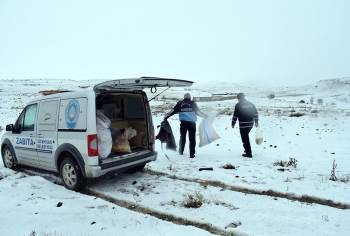 Yaban Hayvanları İle Sokak Hayvanlarına Yiyecek Bırakıldı
