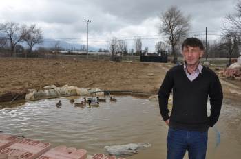 Yabani Kuş Ve Ördekler İçin Suni Göl Oluşturdu
