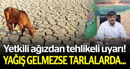 Yağış gelmezse tarlalarda kuraklık görülebilir