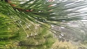 Yağmur Damlaları İlginç Görüntüler Oluşturdu
