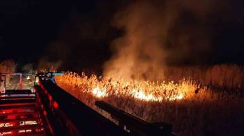 Yangın Zamanında Müdahaleyle Kavak Ağaçlarına Sıçramadan Söndürüldü
