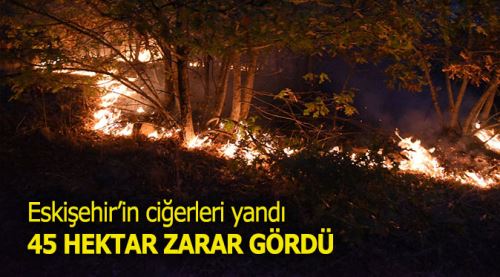 Yangında 45 hektarlık alan zarar gördü!