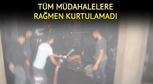 Yangında feci şekilde can verdi!