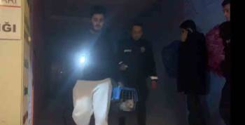 Yangında Kedisini Kurtarmak İçin Zamanla Yarıştı
