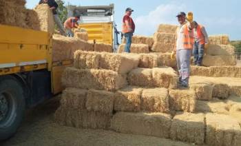 Yangında Mağdur Olan Hayvan Üreticilerine 1 Tır Yardım Gönderildi
