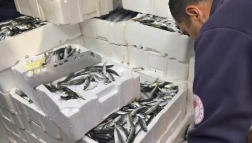 Yapılan denetimlerde 100 kilo istavrit ve 14 kilo lüfere el konuldu