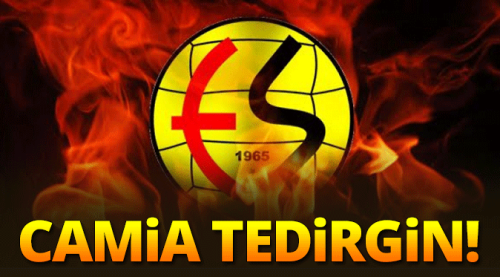 Yaprak kımıldamıyor