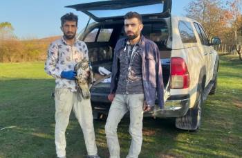 Yaralı Halde Bulduğu Doğan Kuşunun Bir An Olsun Yanından Ayrılmadı
