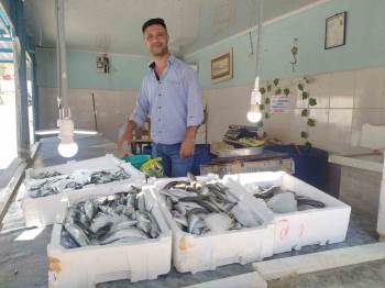 Yasak Kalktı, Tezgahlar Balık Doldu, Fiyatlar Uygun
