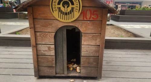 Yaşasınlar diye yapıldı, çöplüğe döndü!