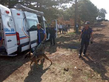 Yaşlı kadın ormanda kayboldu!