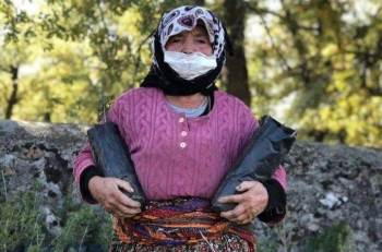 Yaşlı Teyzeler Fidan Dikmek İçin Yarıştı
