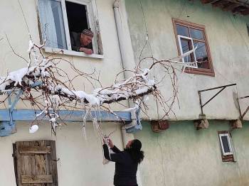 Yaşlı Ve Yalnız Yaşayan Vatandaşların İhtiyaçları Karşılandı
